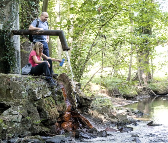 Klauser Wald, © Eifel Tourismus GmbH