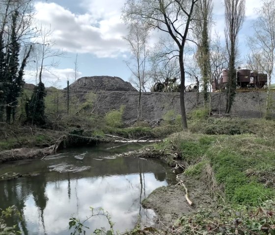 wilde Wurm, © StädteRegion Aachen