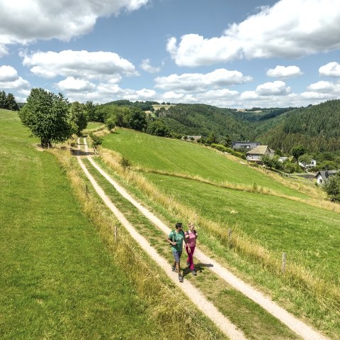 Eifelsteig bei Dedenborn, © Eifel Tourismus GmbH