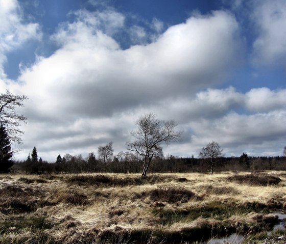 Durch die "Steppenlandschaft" der Eifel, © Community