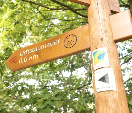 Past the wilderness trail on the Eifelsteig, © Eifel Tourismus GmbH, D. Ketz