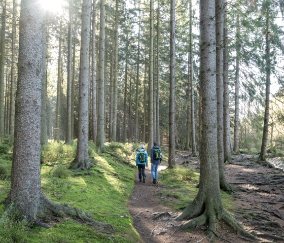 Wesertal bei Roetgen, © StädteRegion Aachen