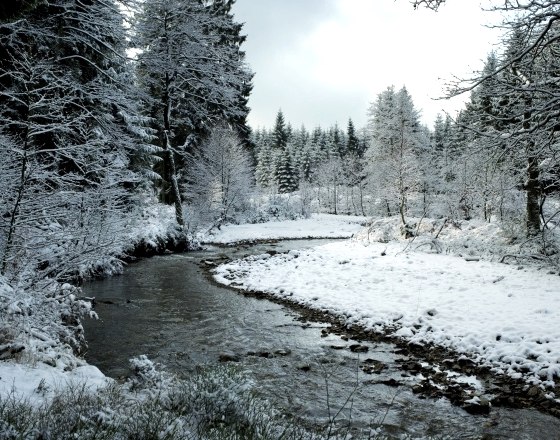 Winterlandschaft, © Tourismusagentur Ostbelgien