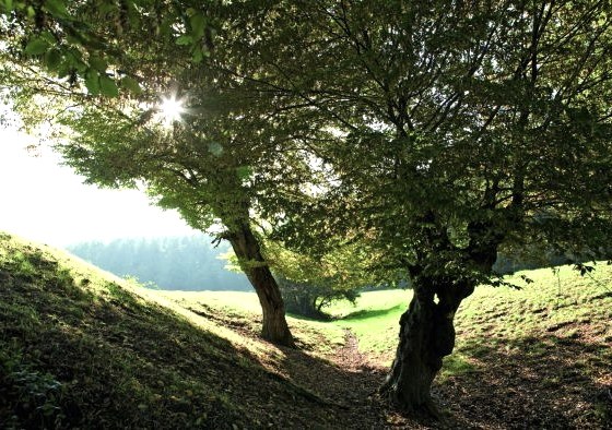 Wurmtal, © StädteRegion Aachen