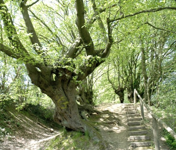 Landgraben, © StädteRegion Aachen