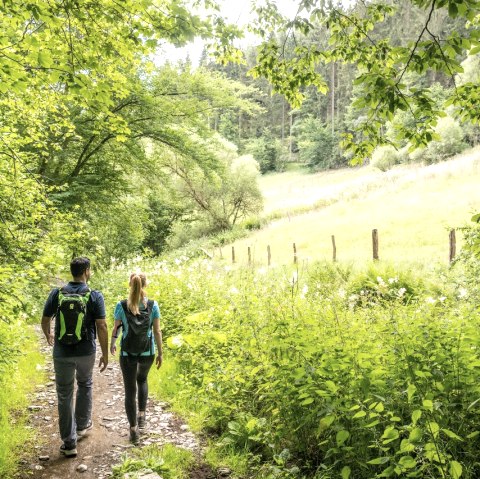 Tiefenbach valley, © Eifel Tourismus GmbH
