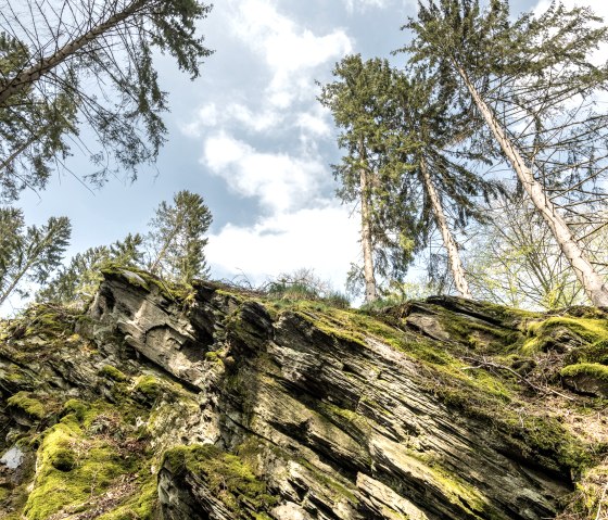 Belgenbachtal, © Grünmetropole