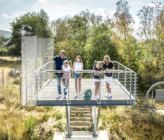 Aussichtsplattform und Infotafeln an den Nivelsteiner Sandwerken, © Städteregion Aachen