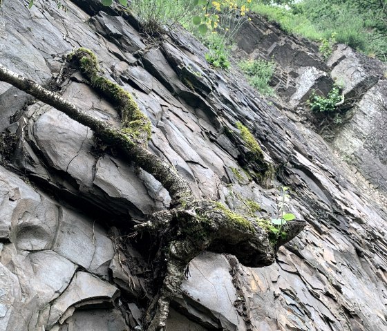 Steinbruch im Wurmtal, © StädteRegion Aachen